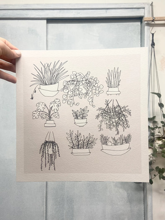 Plants Print. 8x8 or 11x11. Square print.